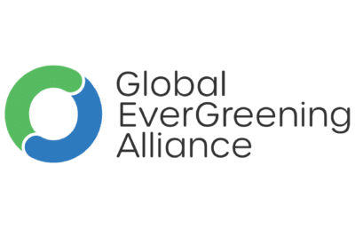 Global Evergreening Alliance