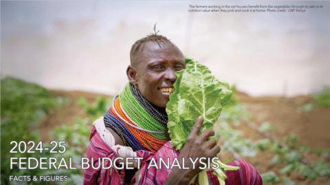 2024-2025 Federal Budget Analysis