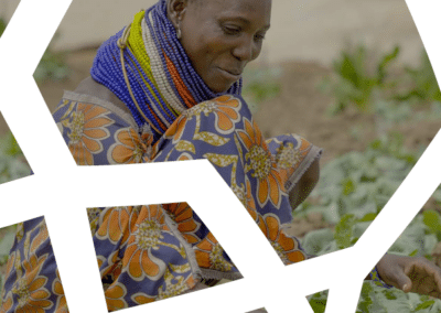 ACFID Climate Policy Brief 2024