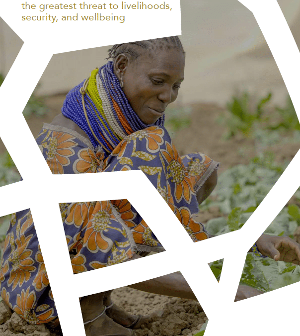 ACFID Climate Policy Brief 2024