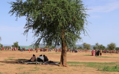 ‘Why are they not helping?’ Heartbreak as Australian support for Sudan lags