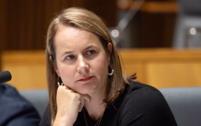 Peak body for humanitarian agencies welcomes government’s backing of UN motions