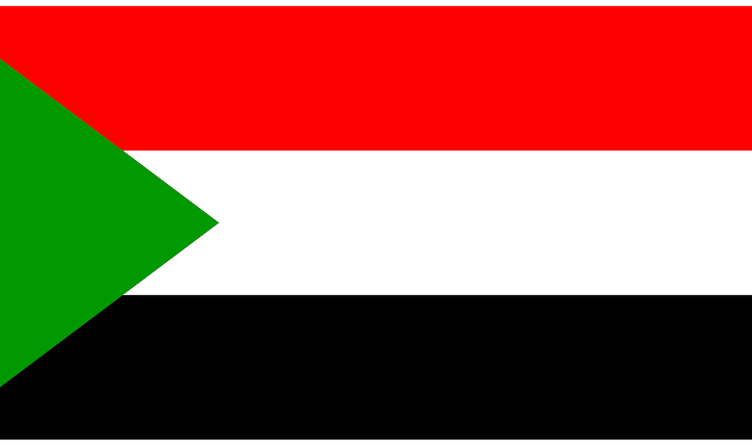 Sudanese community pledges Government for more funding in aid