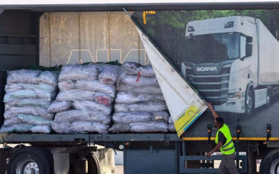 NGOs, Greens urge Albanese government to reform terror laws, warn of aid ‘handbrake’