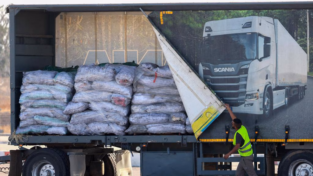 NGOs, Greens urge Albanese government to reform terror laws, warn of aid ‘handbrake’